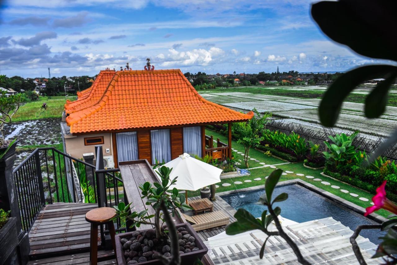 קנגו Japa Guesthouse מראה חיצוני תמונה